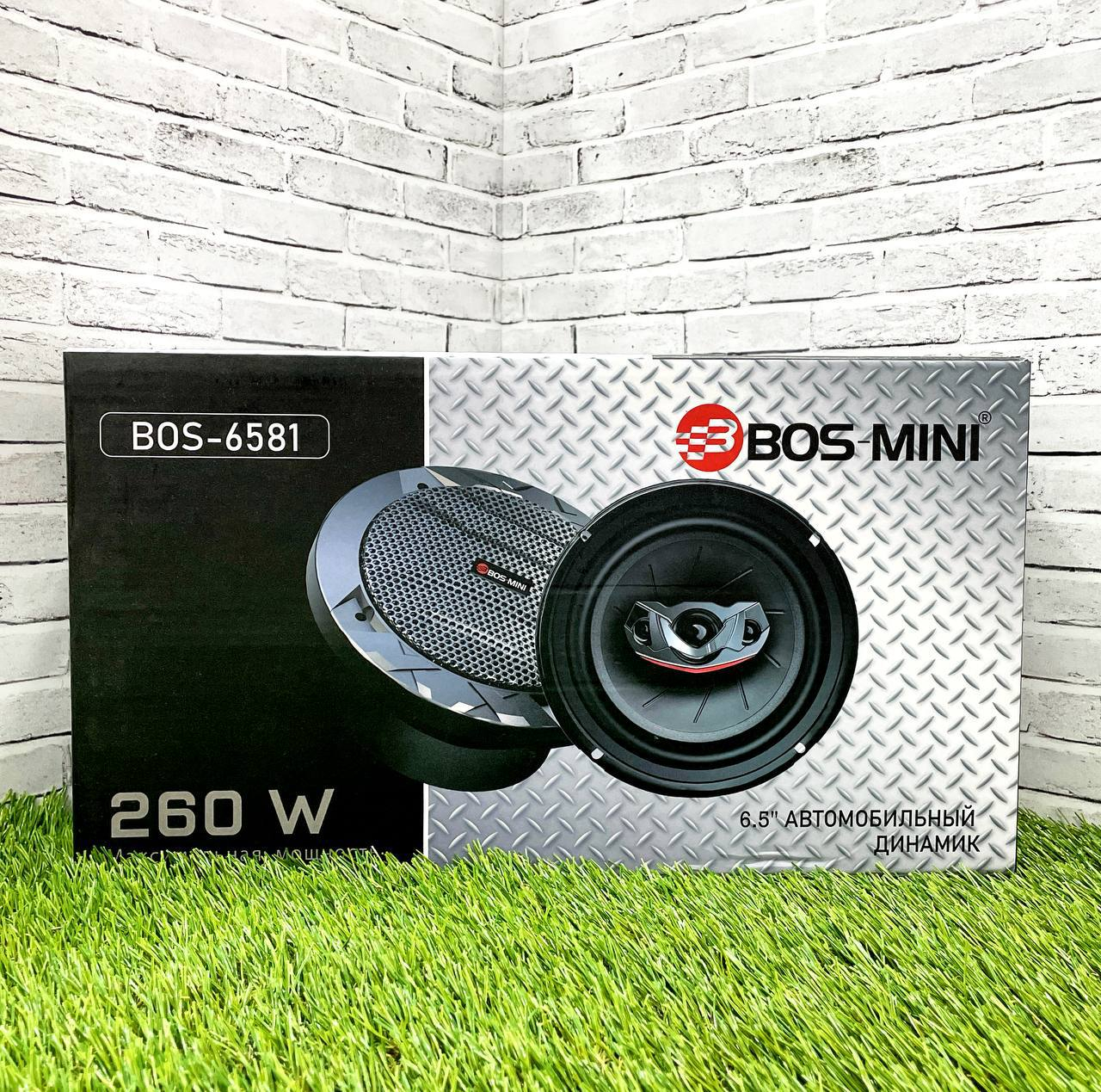 Bos-Mini (6581) 260W