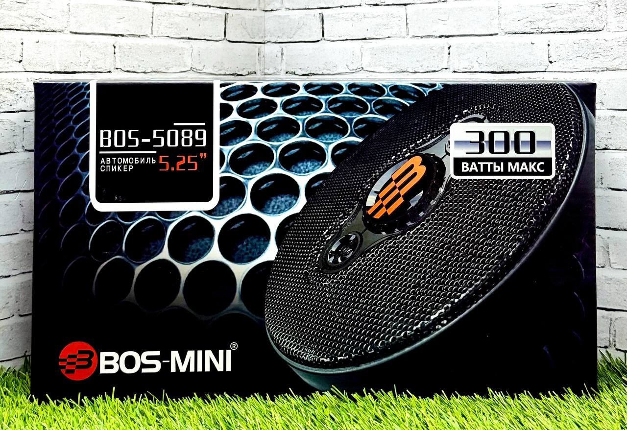 BOS-5089 (13cm,300W)