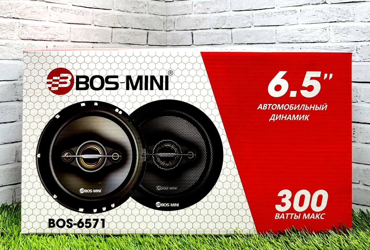 BOS-6571 (16cm,300W)