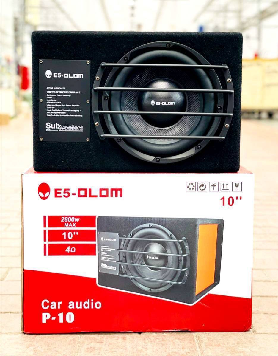 E5-OLOM P-10