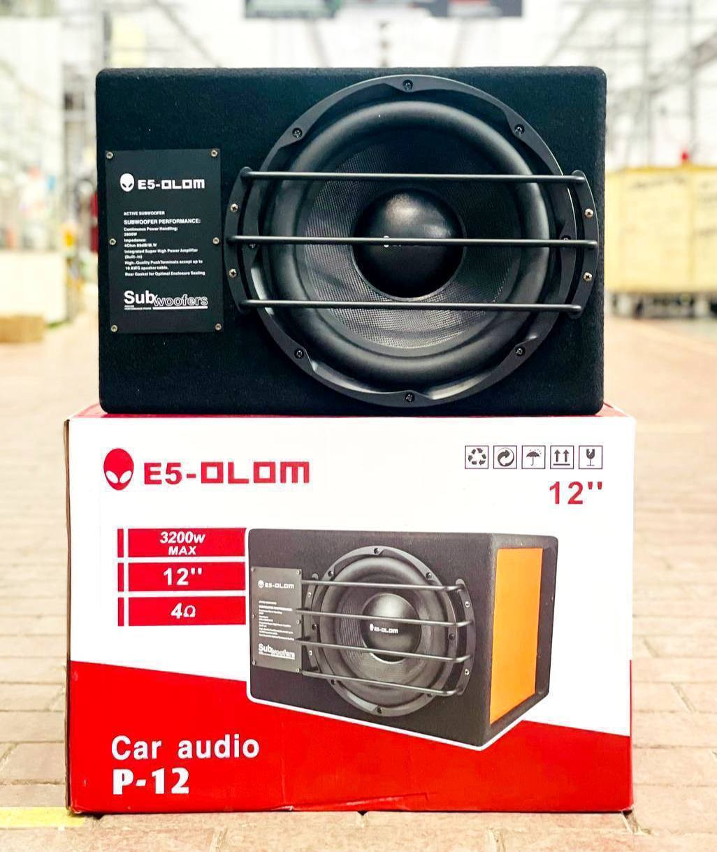 E5-OLOM P-12