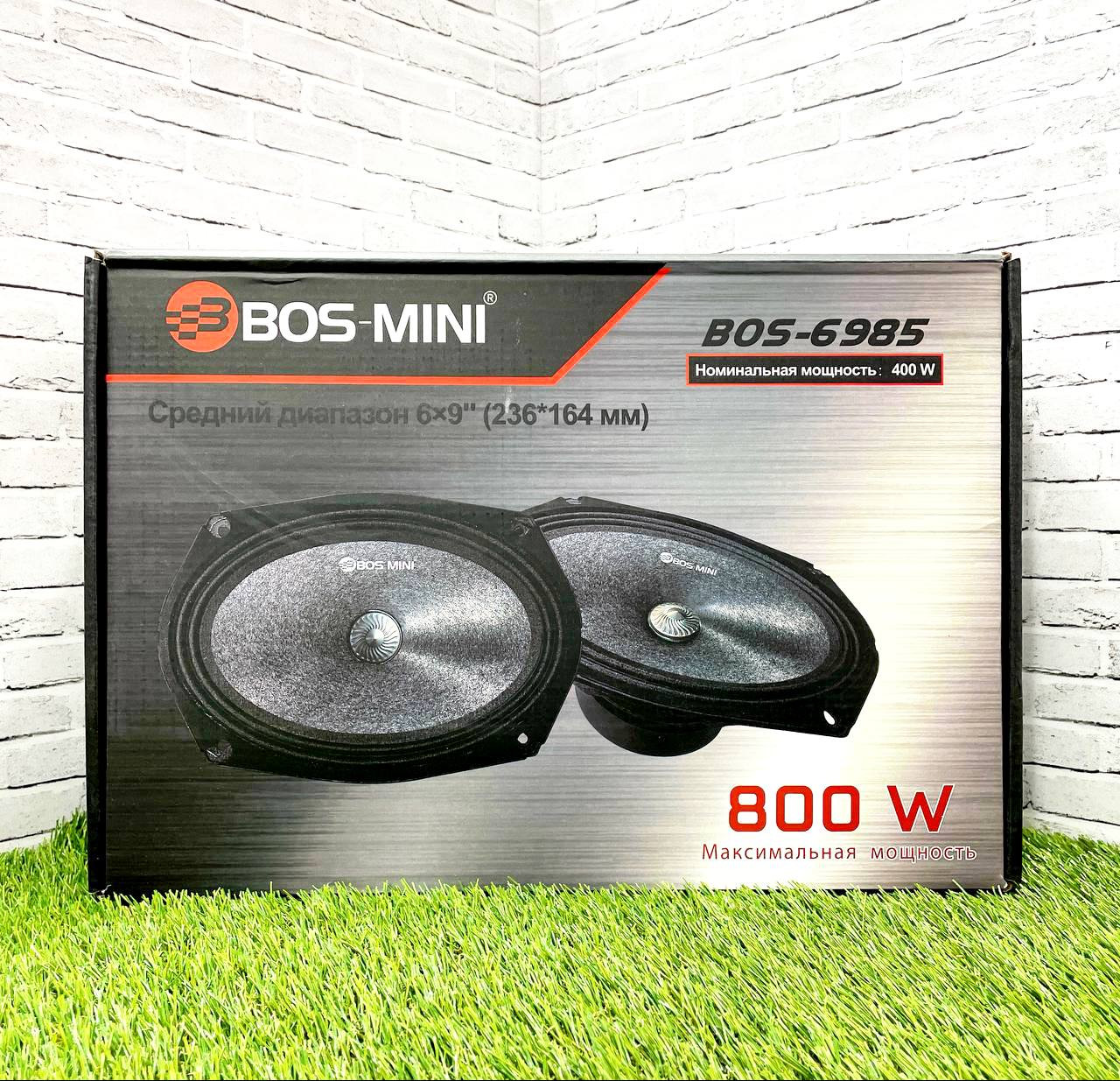 Bos-Mini 6985 6/9