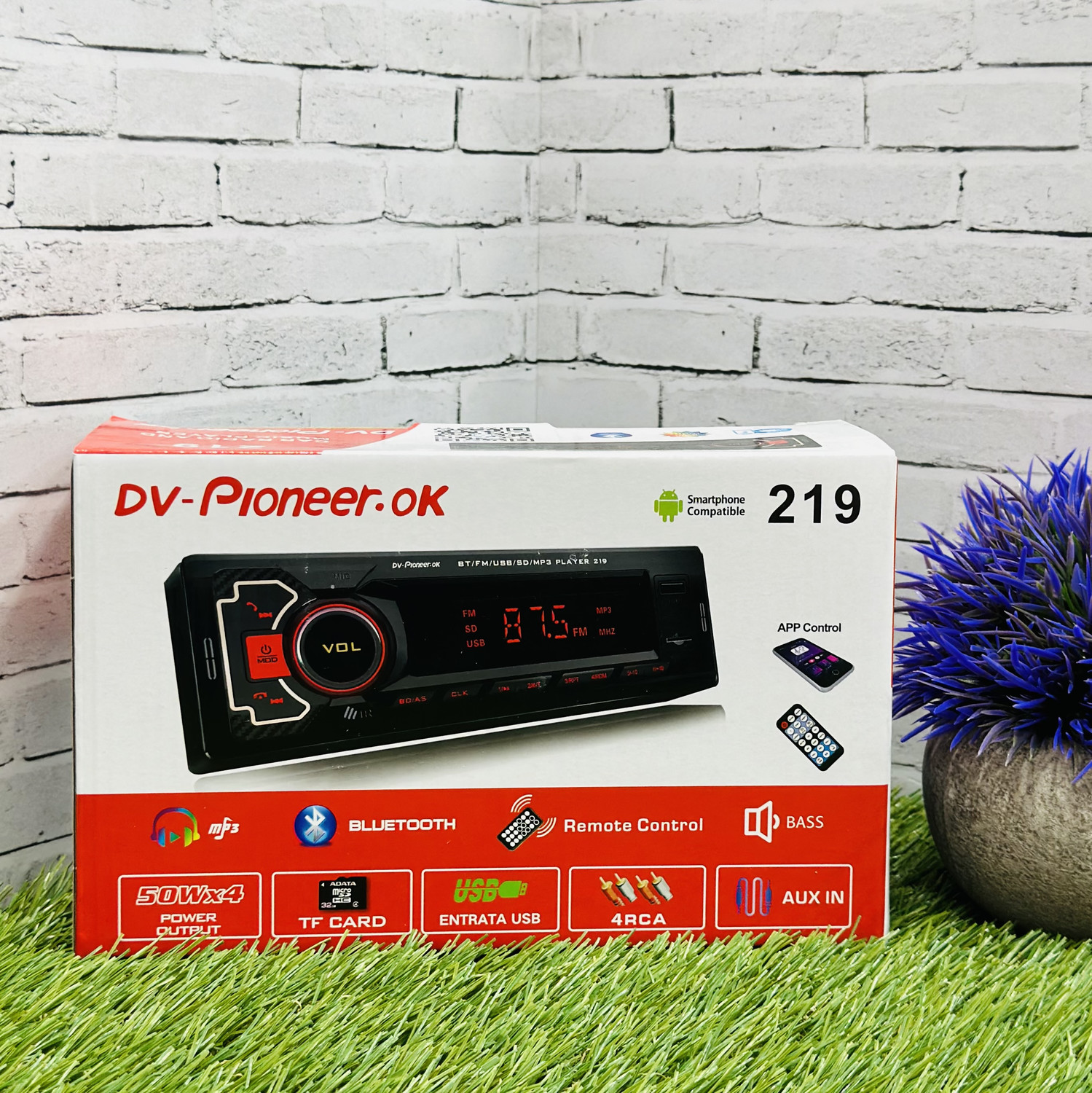 Dv-Pioneer.Ok 219