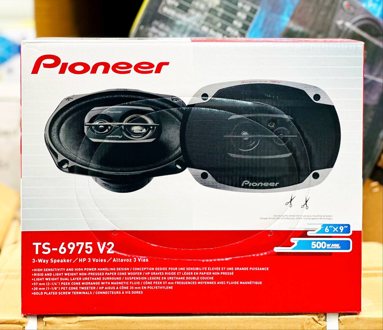 Pioneer TS-6975 V2 6/9 (овалы)